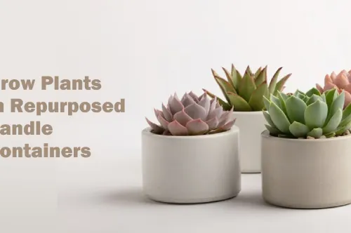 From Flame to Foliage: Repurposing Your Vessel Candle into a Beautiful Planter